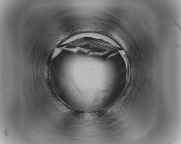 X0000096470305200802071902