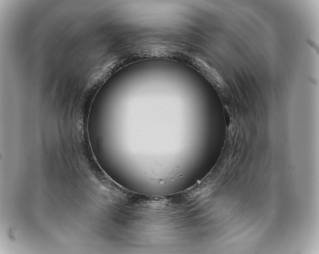 X0000096470306200802071902