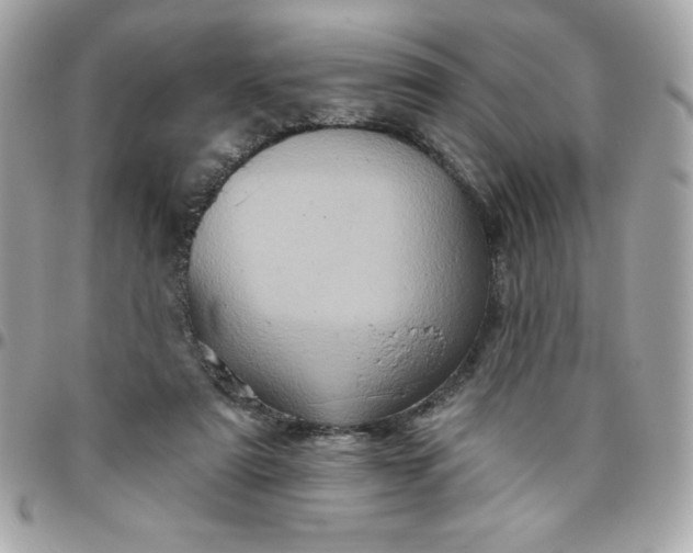 X0000096470307200802071902