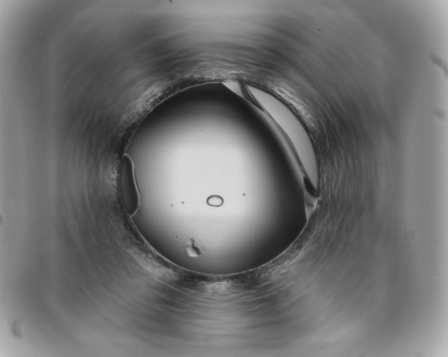 X0000096470309200802071902