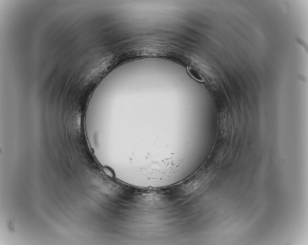 X0000096470310200802071902