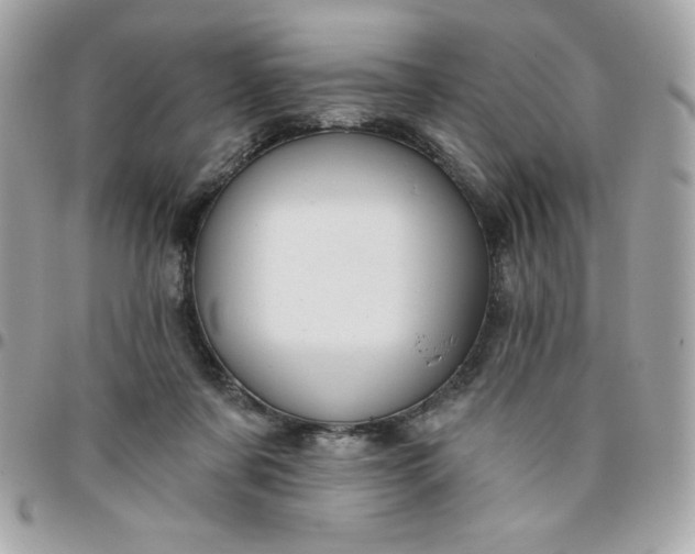 X0000096470311200802071902