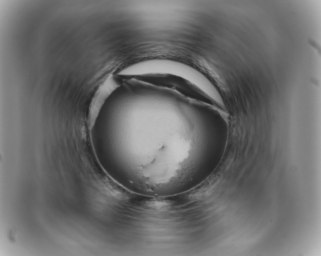 X0000096470313200802071902