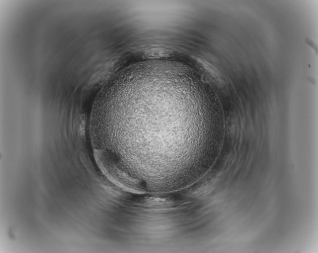 X0000096470315200802071902