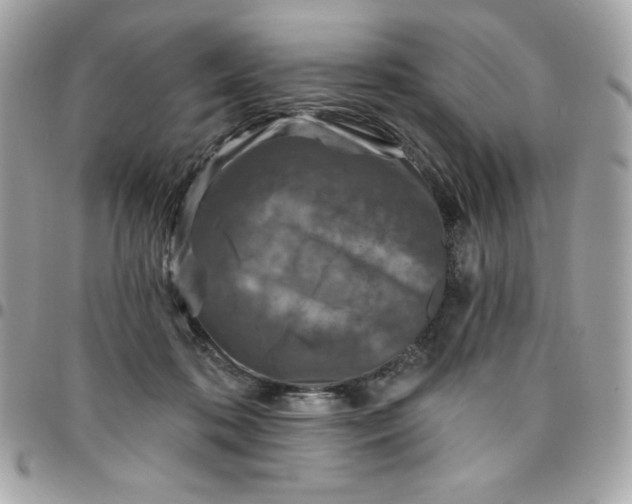 X0000096470316200802071902