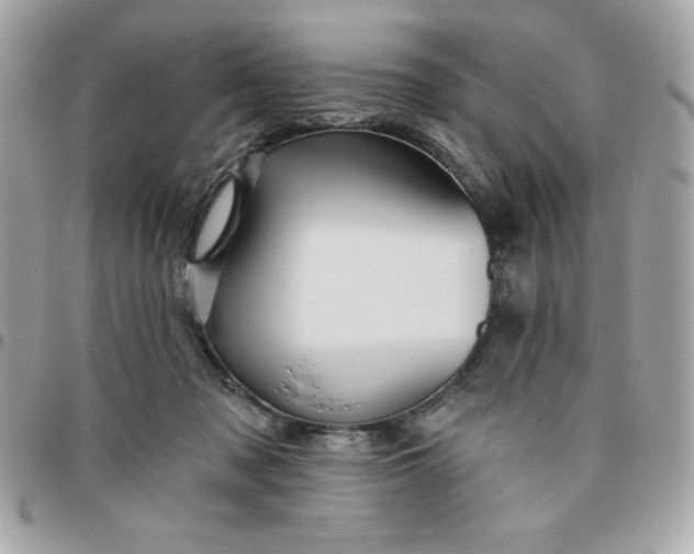 X0000096470317200802071902