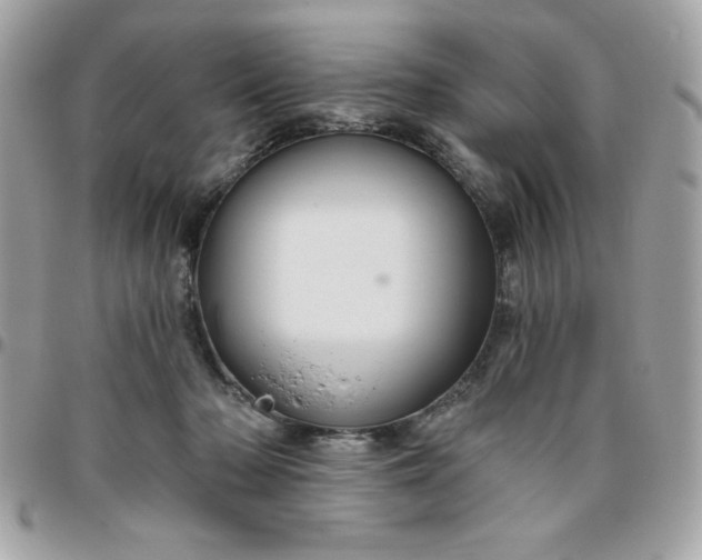 X0000096470318200802071902