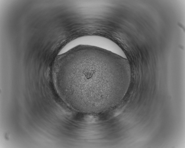 X0000096470319200802071902