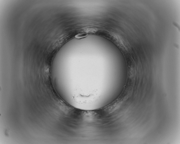 X0000096470321200802071902