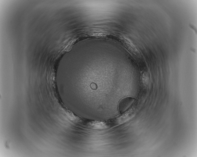 X0000096470322200802071902