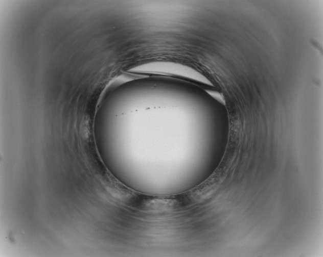 X0000096470323200802071902