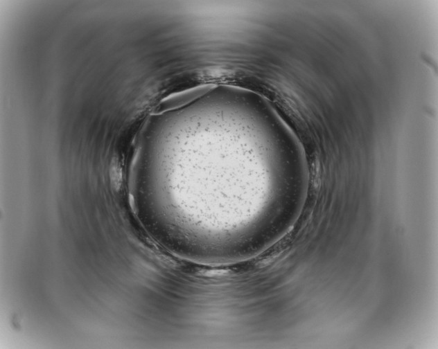 X0000096470324200802071902