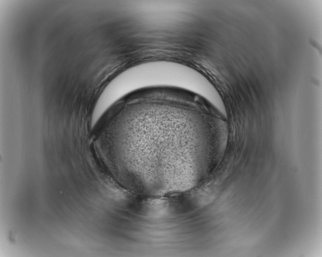 X0000096470325200802071902