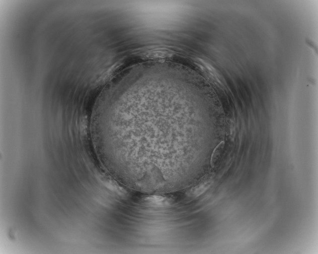 X0000096470326200802071902