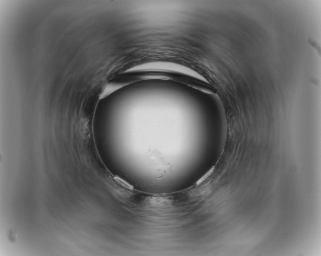 X0000096470327200802071902