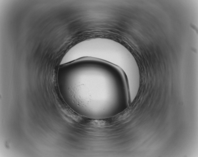 X0000096470328200802071902