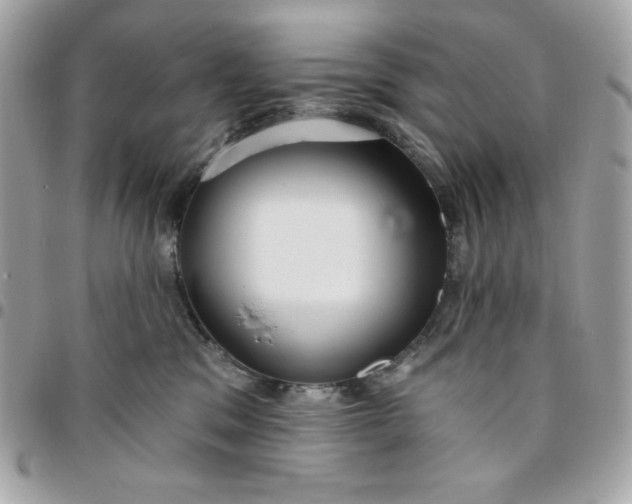 X0000096470329200802071902