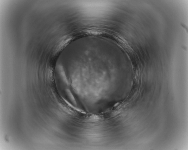 X0000096470330200802071902