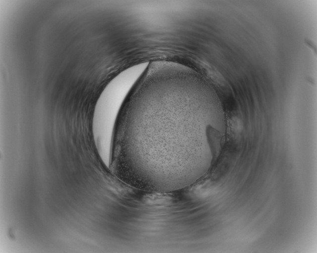 X0000096470331200802071902