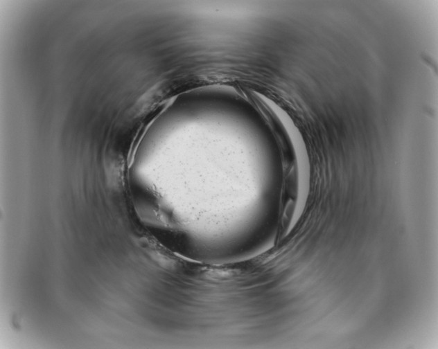 X0000096470332200802071902