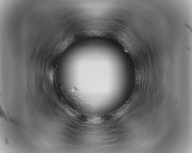 X0000096470334200802071902