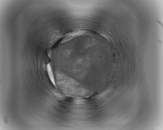 X0000096470336200802071902