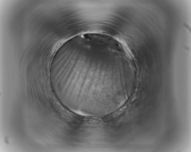 X0000096470337200802071901