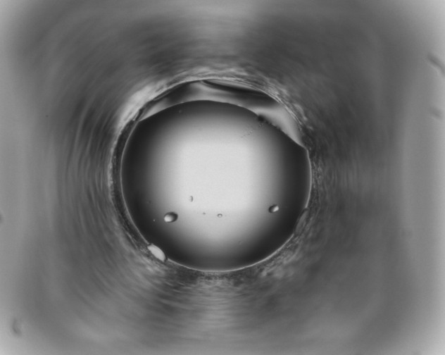 X0000096470340200802071901