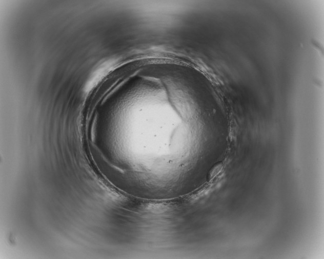 X0000096470341200802071901