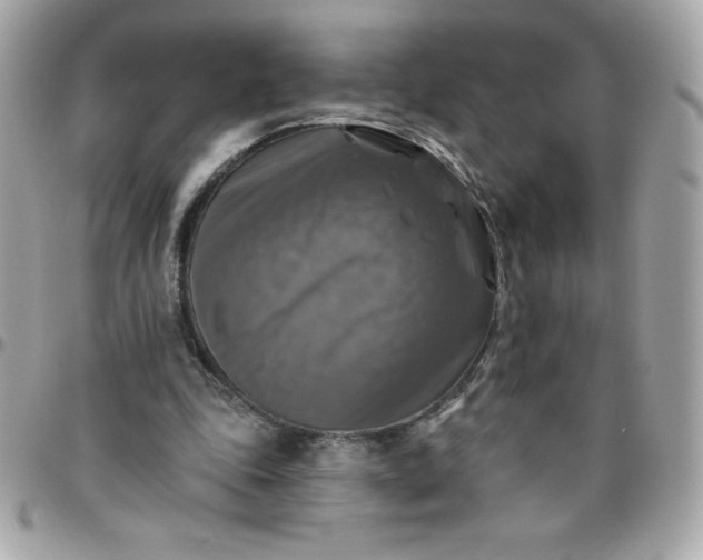 X0000096470343200802071901