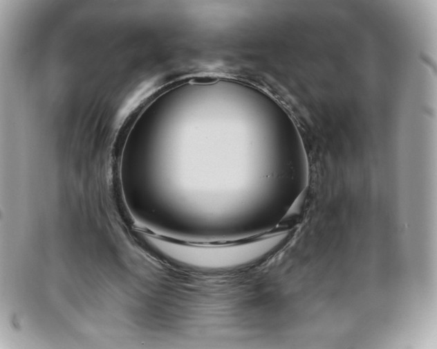 X0000096470344200802071901