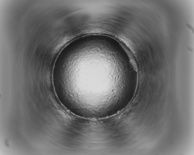 X0000096470345200802071901