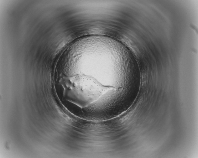 X0000096470349200802071901