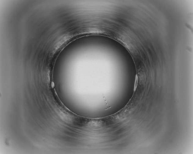 X0000096470350200802071901