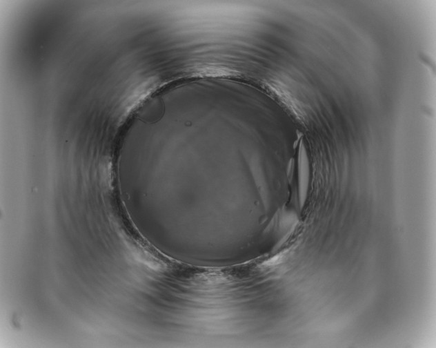 X0000096470351200802071901