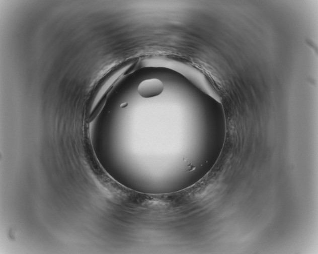 X0000096470352200802071901