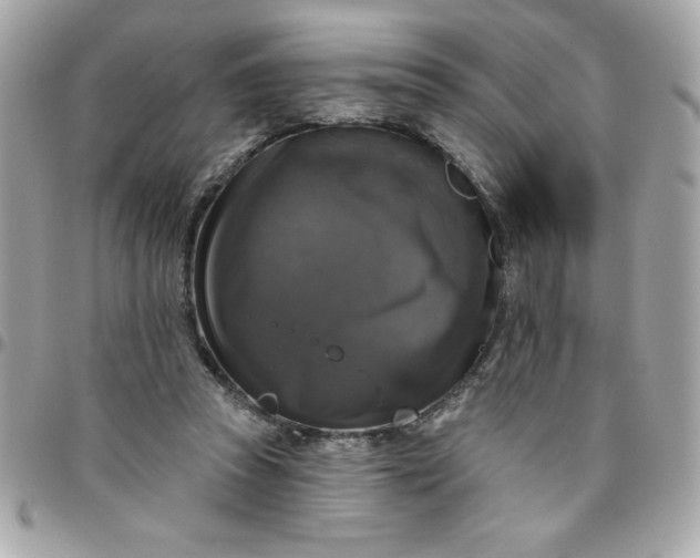 X0000096470353200802071902