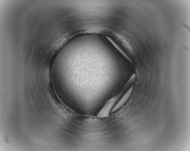 X0000096470354200802071902