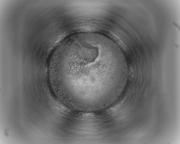 X0000096470355200802071902