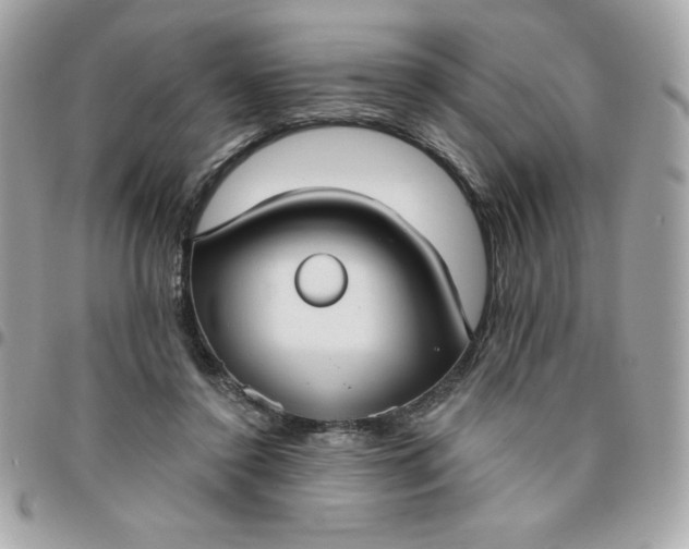 X0000096470356200802071902