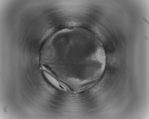 X0000096470357200802071902