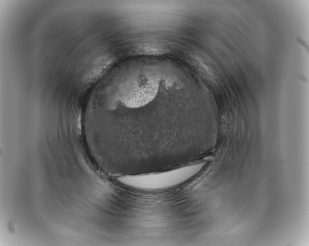 X0000096470358200802071902