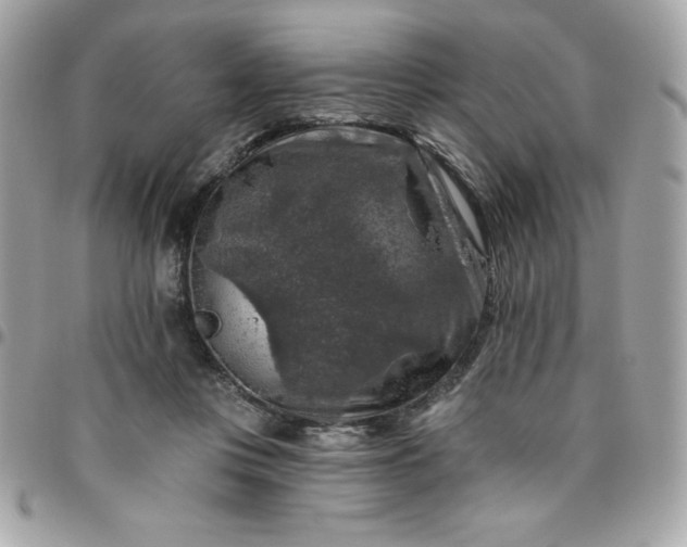 X0000096470359200802071902