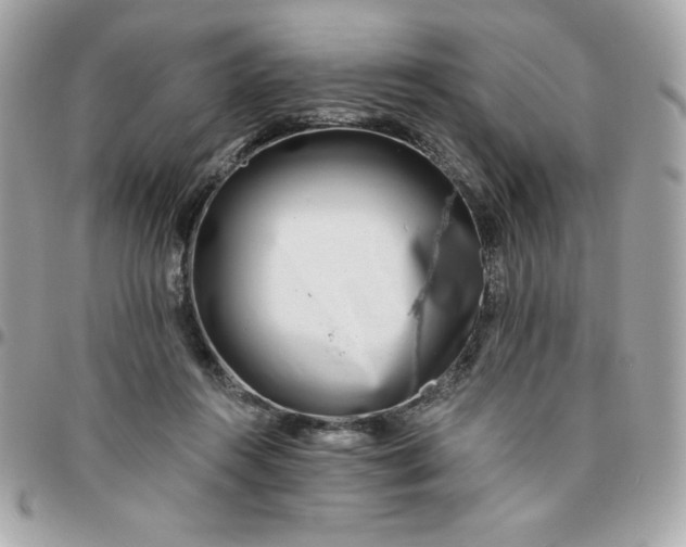 X0000096470360200802071902