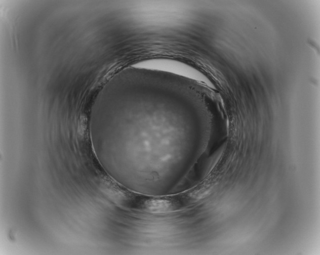 X0000096470361200802071902