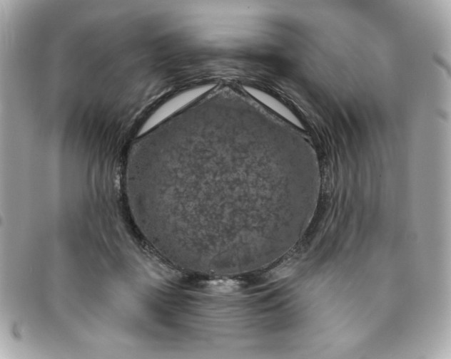 X0000096470363200802071902