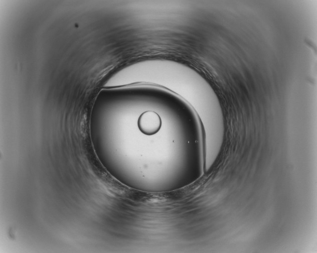 X0000096470364200802071902