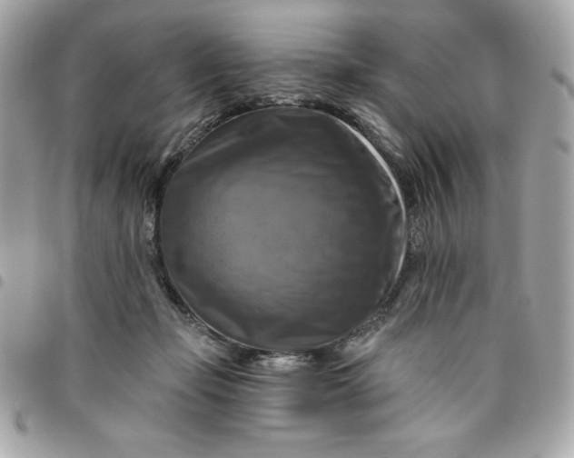 X0000096470365200802071902