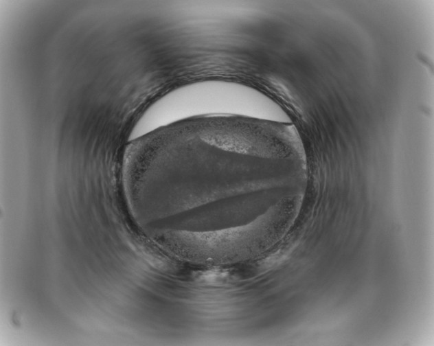 X0000096470366200802071902