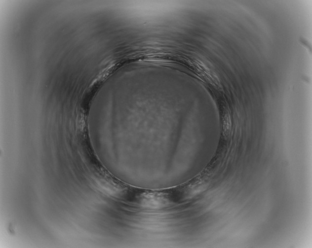 X0000096470367200802071902